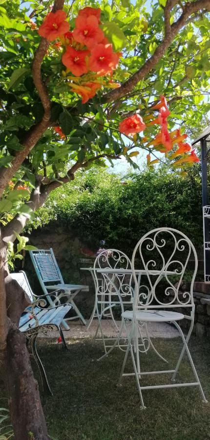 La Porta Sulla Costa Bed and Breakfast San Pantaleo Eksteriør billede